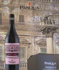 Pasqua Black Label Morago Appassite