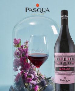 Pasqua Black Label Morago Appassite