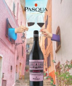 Pasqua Black Label Morago Appassite