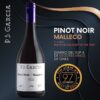 P.S. Garcia Pinot Noir Malleco; P.S. GARCÍA PINOT NOIR MALLECO