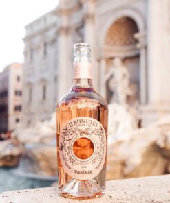 Rượu vang hồng Pasqua rose 11 minutes