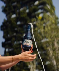 Rượu vang Pasqua Prosecco Treviso Spumante Brut Passionesentimento DOC