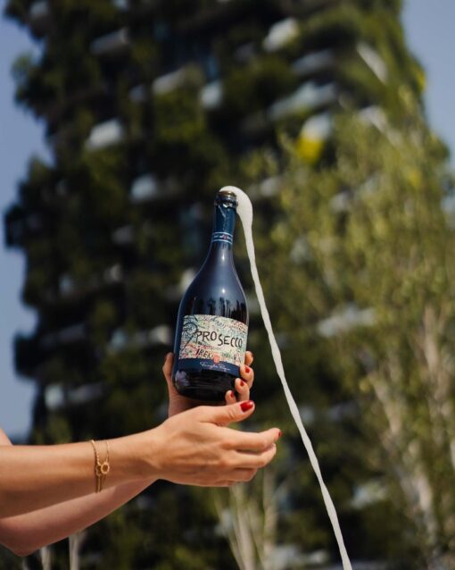 Rượu vang Pasqua Prosecco Treviso Spumante Brut Passionesentimento DOC