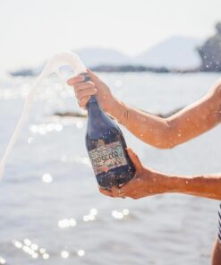 Rượu vang Pasqua Prosecco Treviso Spumante Brut Passionesentimento DOC