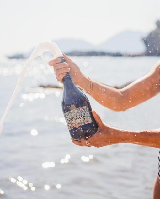 Rượu vang Pasqua Prosecco Treviso Spumante Brut Passionesentimento DOC
