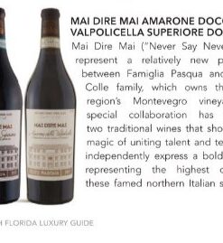 Rượu vang Ý Pasqua Mai Dire Mai Valpolicella Superiore 2015 DOC