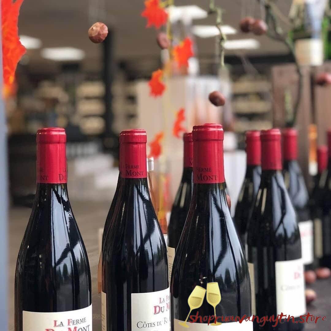 ruou-vang-phap-La-ferme-du-mont