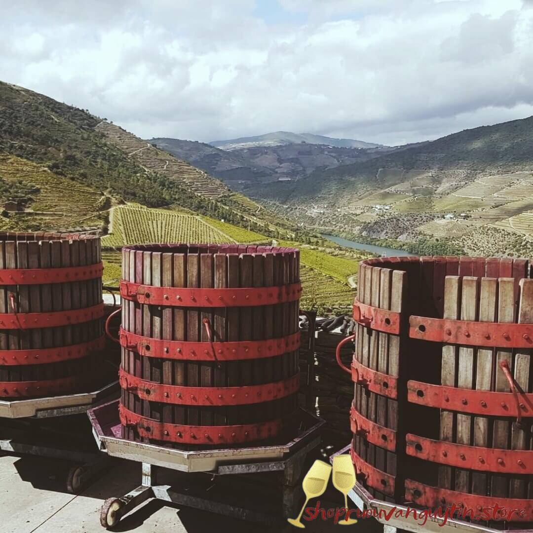 Rượu vang Port Churchill's