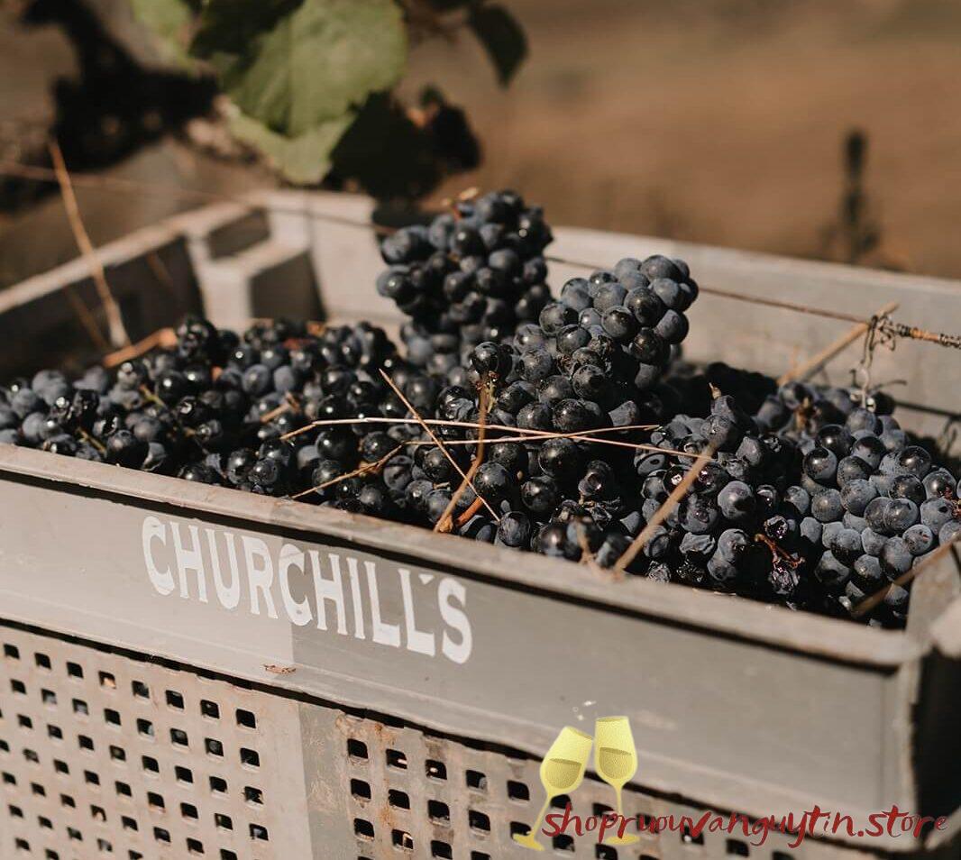 Rượu vang Port Churchill's