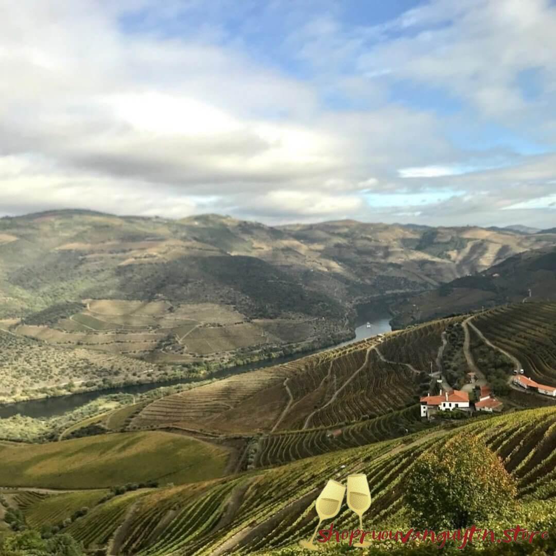 Rượu vang Port Churchill's