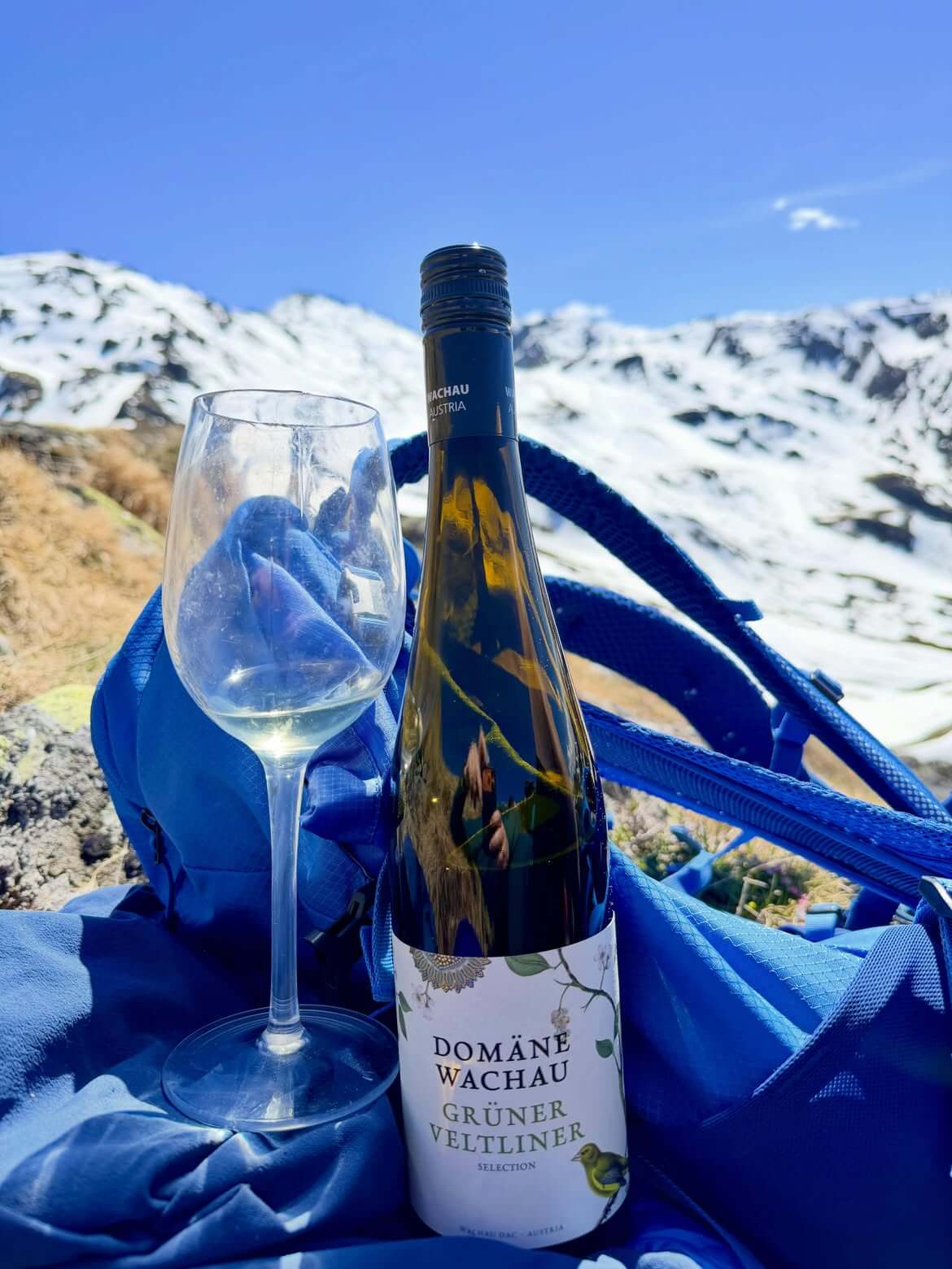 Rượu Vang Áo DOMANE WACHAU GRÜNER VELTLINER SELECTION 2022 - Hình ảnh 3