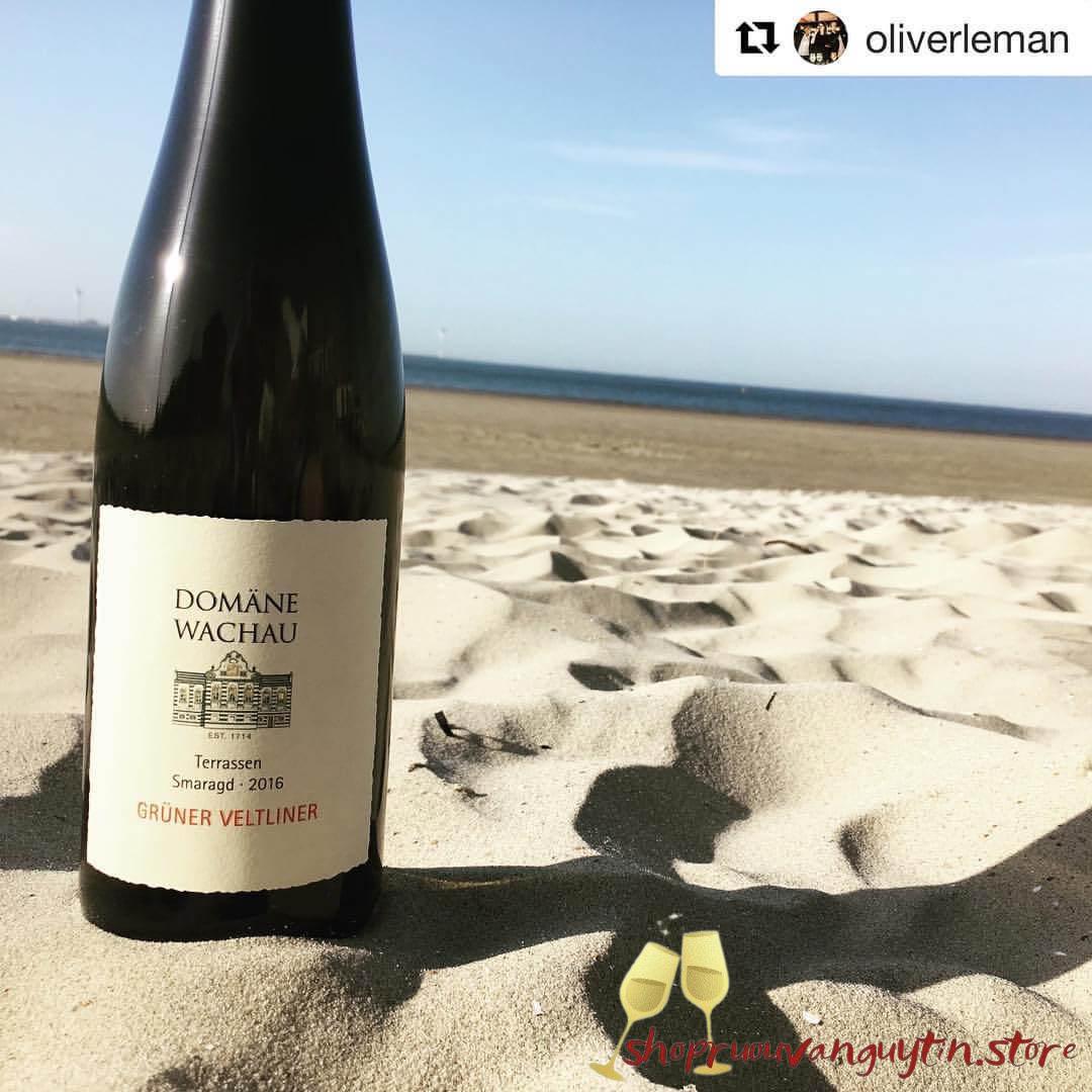 Rượu Vang Áo Wachau Grüner Veltliner Smaragd Terrassen 2022
