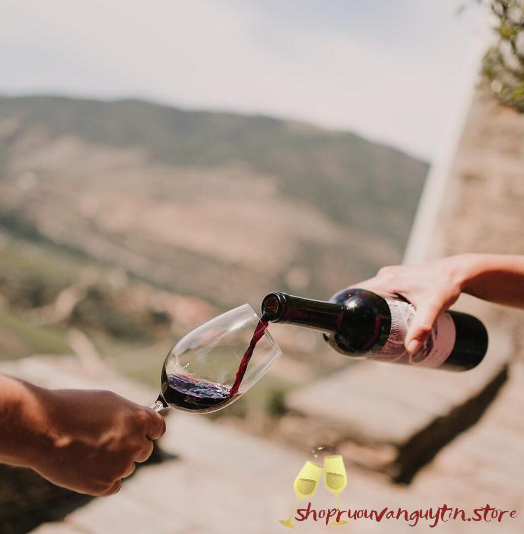 Rượu Vang Đỏ Churchill’s Estates Grafite Touriga Nacional - 2015