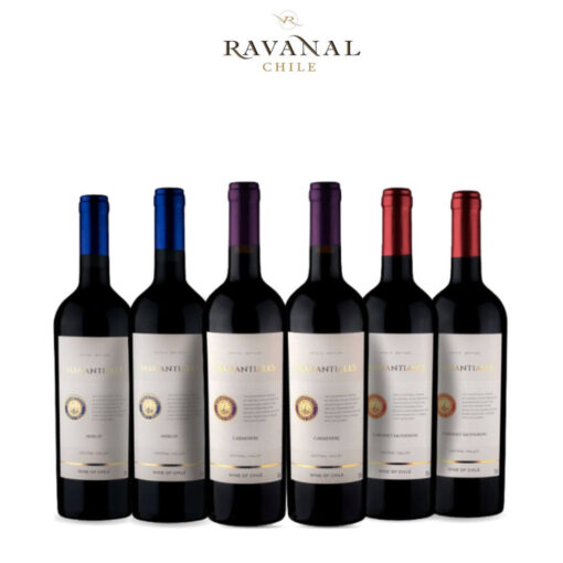 Rượu Vang Chile Manatiales Cabernet Sauvignon - Hình ảnh 3