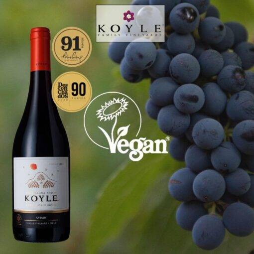 Rượu Vang Chile Koyle Cuvee Los Lingues Syrah