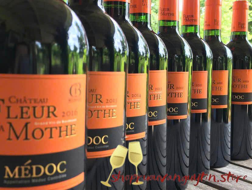 Rượu Vang Pháp Château Fleur la Mothe Cru Bourgeois Supérieur 2018 - Hình ảnh 4