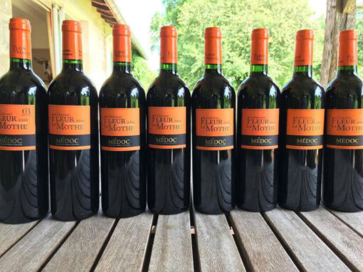 Rượu Vang Pháp Château Fleur la Mothe Cru Bourgeois Supérieur 2018 - Hình ảnh 5