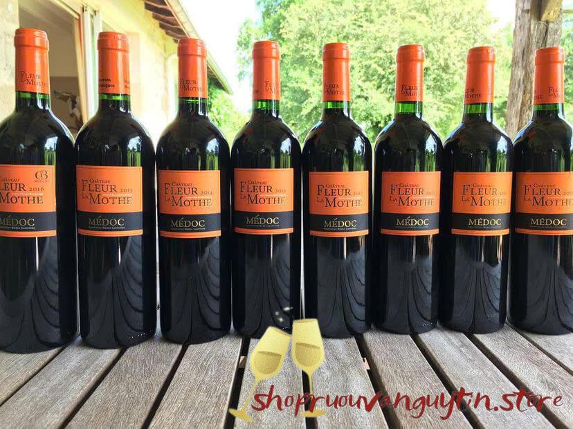 Rượu Vang Pháp Château Fleur la Mothe Cru Bourgeois Supérieur 2018 - Hình ảnh 5