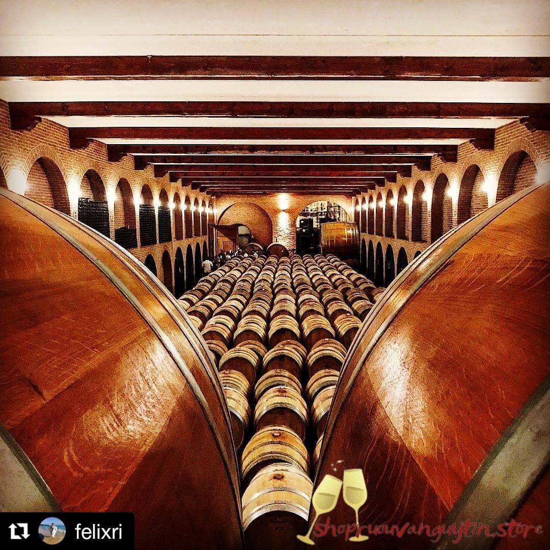 Rượu vang Ý Dante Rivetti