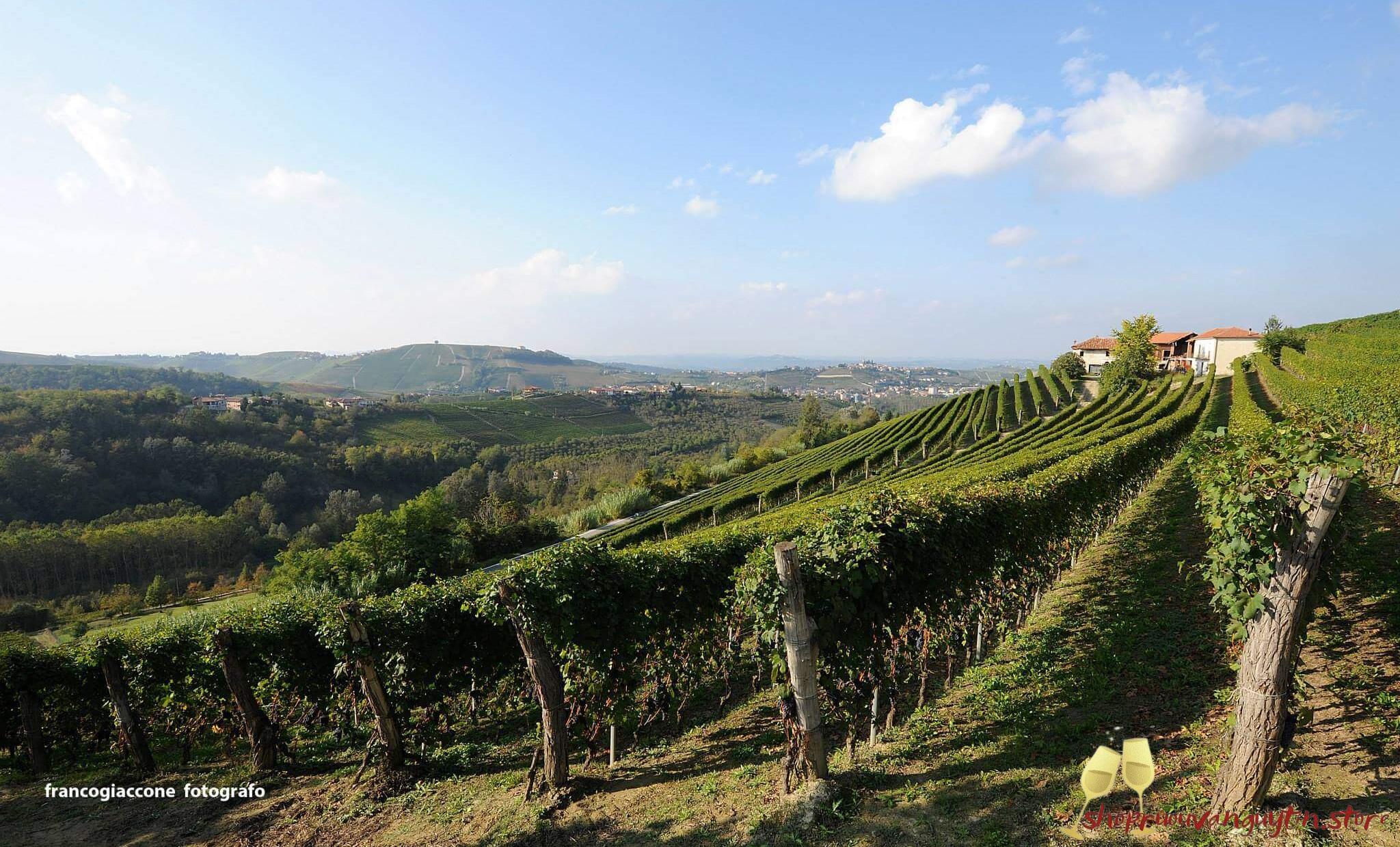 Rượu vang Ý Dante Rivetti