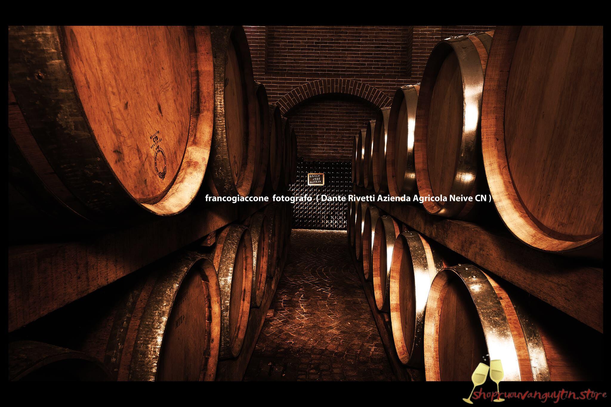 Rượu vang Ý Dante Rivetti