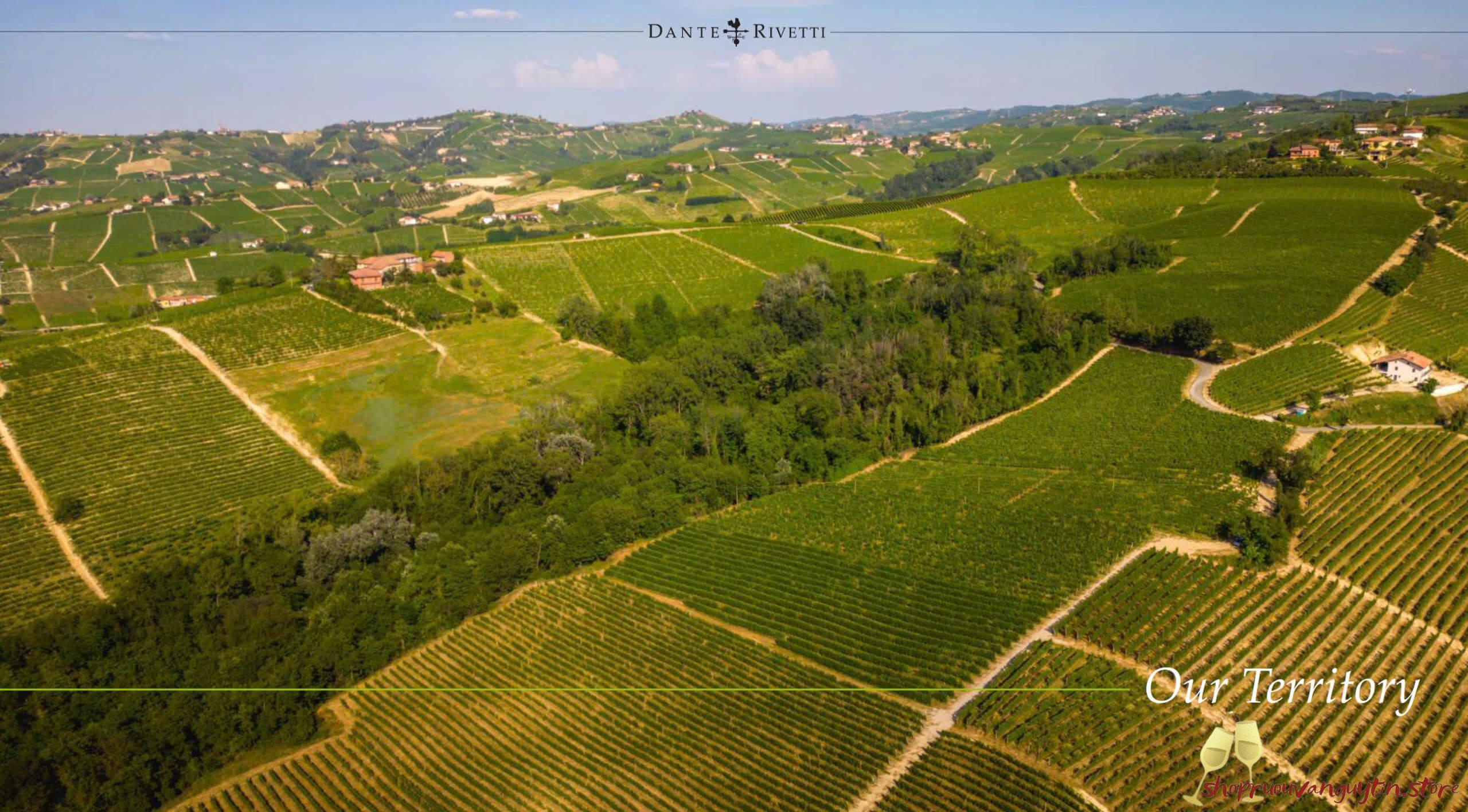 Rượu vang Ý Dante Rivetti