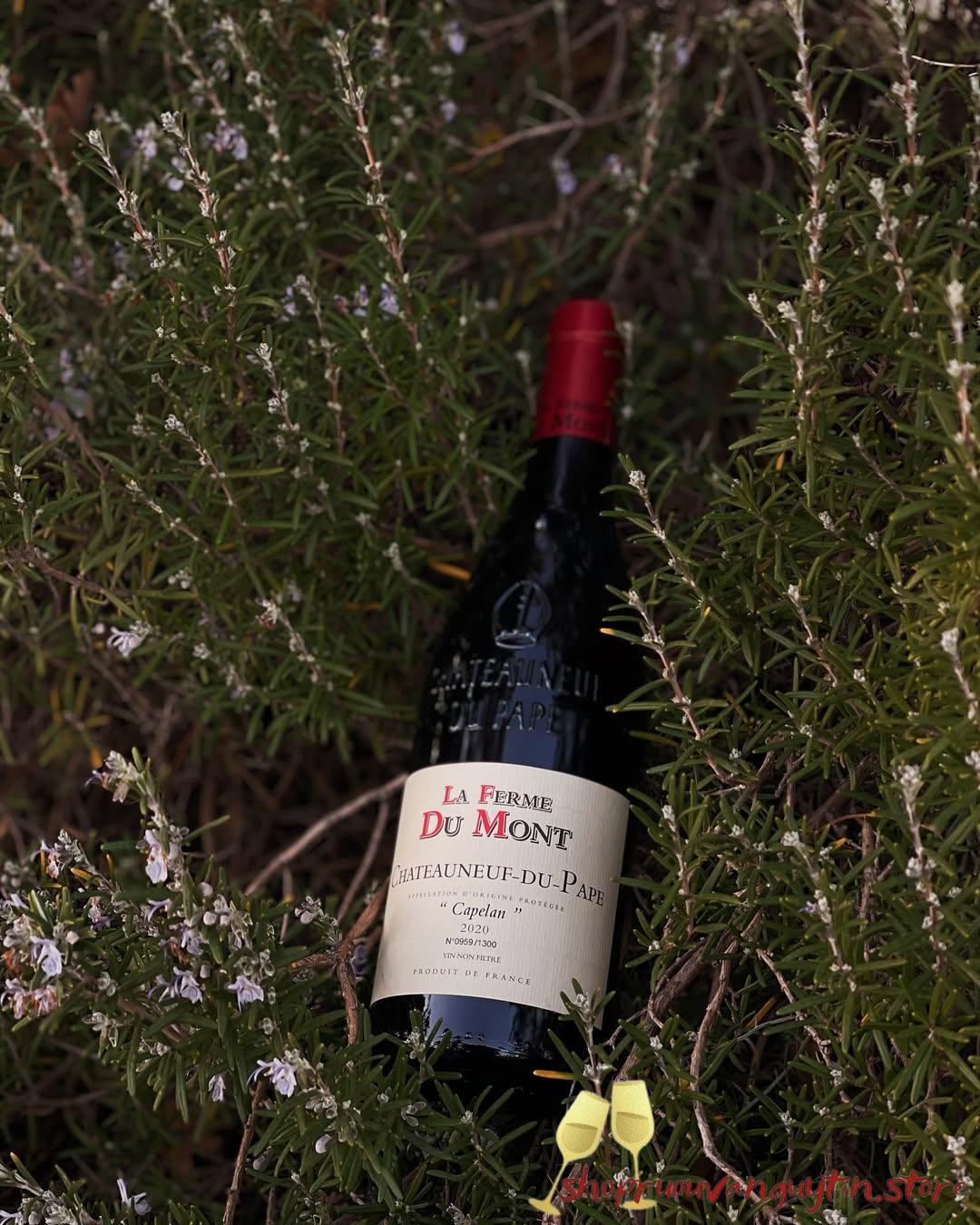 Rượu vang đỏ La Ferme du Mont Chateauneuf-du-Pape Capelan Rouge