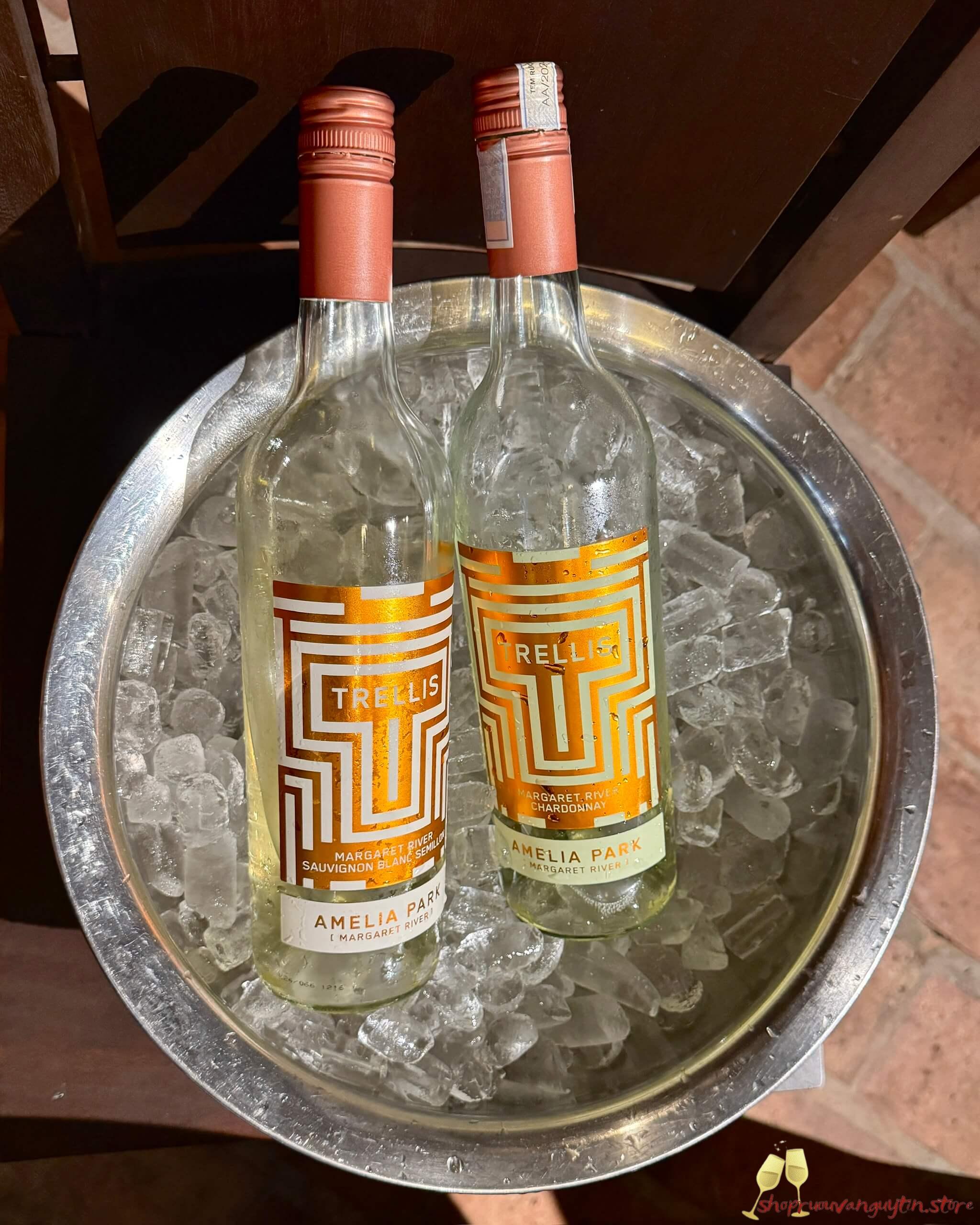 Rượu Vang Úc Amelia Park Trellis Sauvignon Blanc – Semillon - Hình ảnh 4