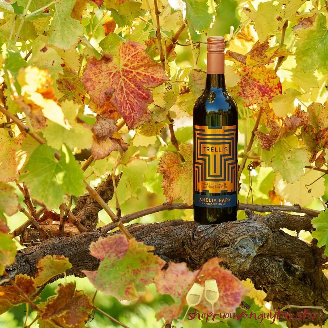 Rượu Vang Úc Amelia Park Trellis Cabernet Sauvignon Merlot - Hình ảnh 3