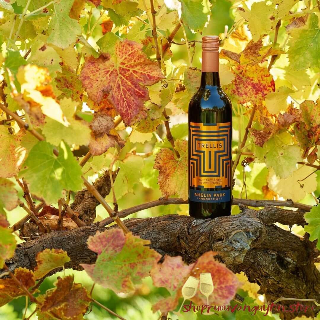 Rượu Vang Úc Amelia Park Trellis Cabernet Sauvignon Merlot - Hình ảnh 3