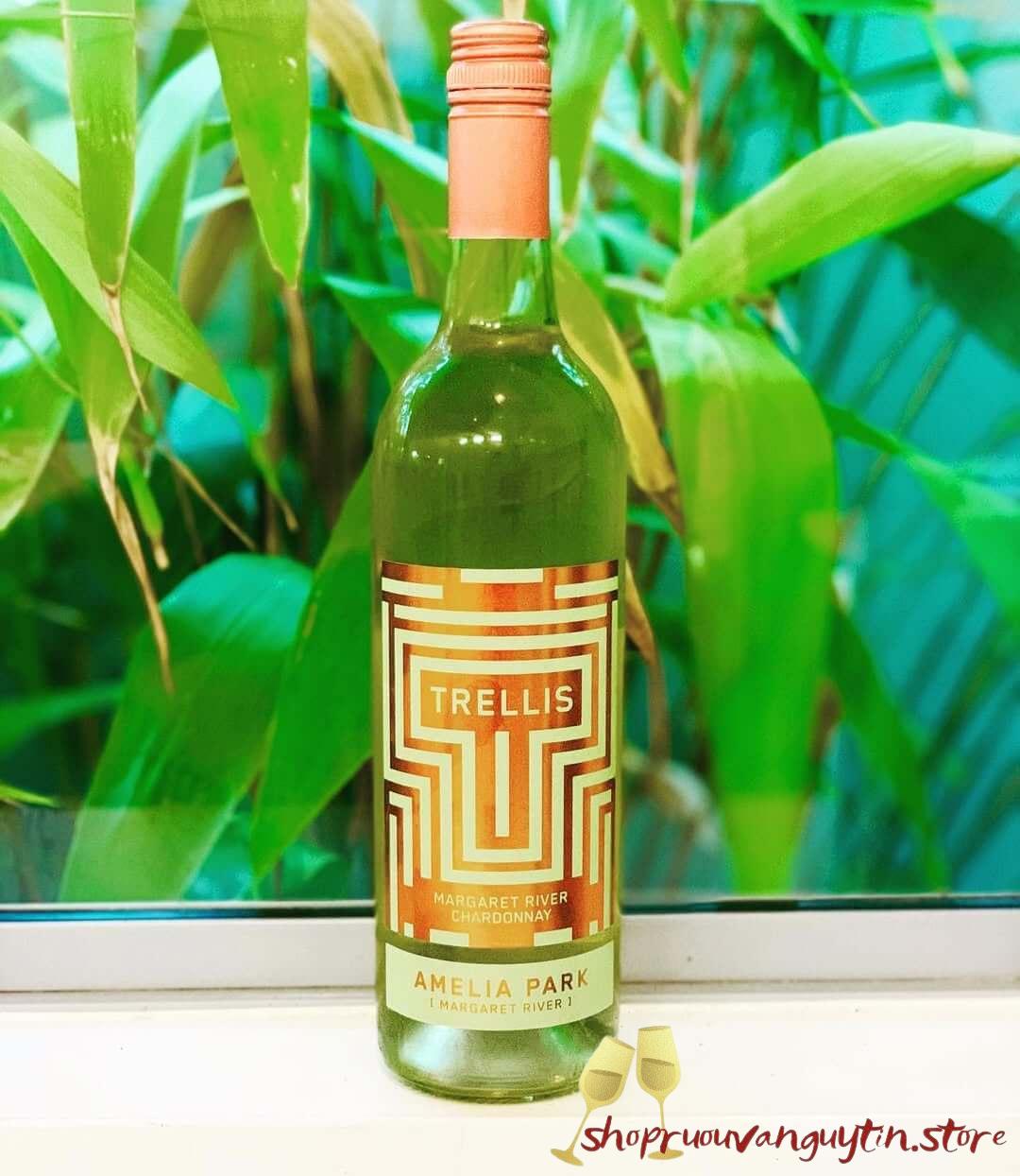 Rượu Vang Úc Amelia Park Trellis Chardonnay - Hình ảnh 2