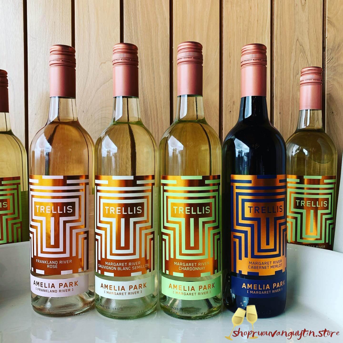 Rượu Vang Úc Amelia Park Trellis Sauvignon Blanc – Semillon - Hình ảnh 4